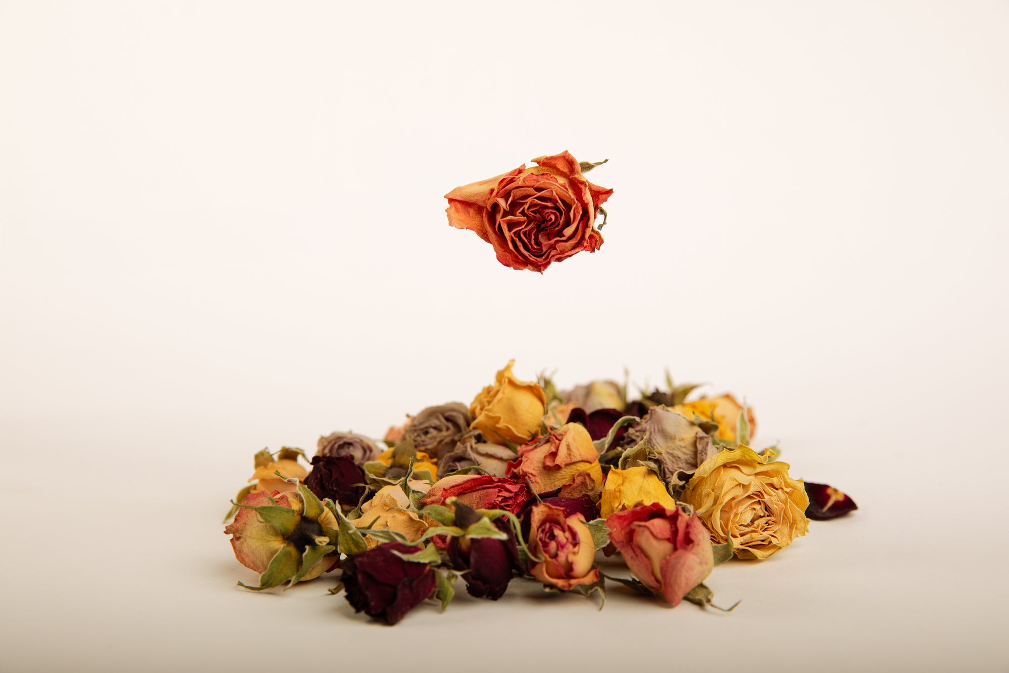 Assorted Roses - Hand Cut